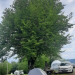 svg+xml,%3Csvg%20xmlns%3D%22http%3A%2F%2Fwww.w3 Düzce Amatör Telsiz Doğa Kampı 2025