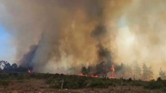 161155317 Hecinler yangınında haberleşme desteği verdik