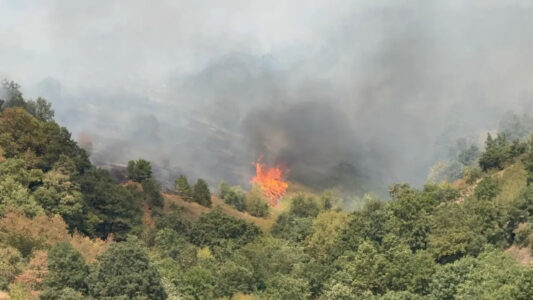 2106843147 Hecinler yangınında haberleşme desteği verdik